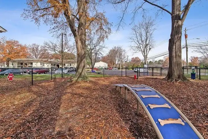 Tree Top - 1328 Steinbeck Dr - Raleigh, NC | Rent.