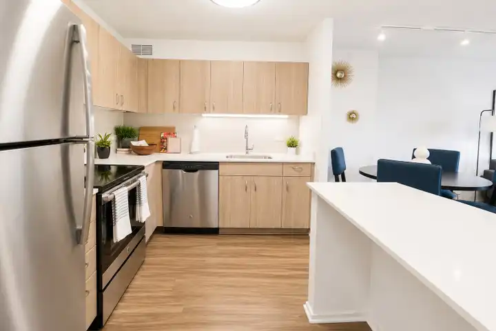 1122 N Dearborn St unit 810 - Chicago, IL | Rent.
