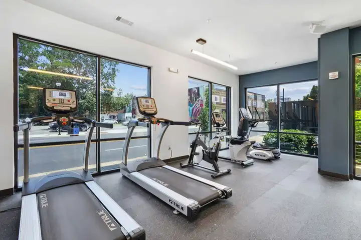 The Patton - 248 Patton Ave - Asheville, NC | Rent.