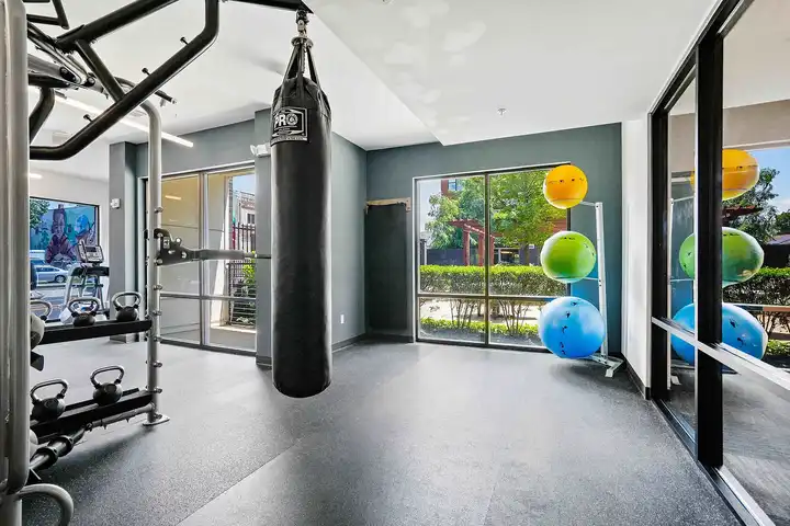 The Patton - 248 Patton Ave - Asheville, NC | Rent.