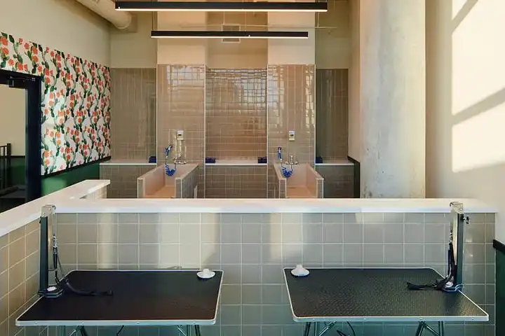 Sol Modern - 50 E Fillmore St - Phoenix, AZ | Rent.