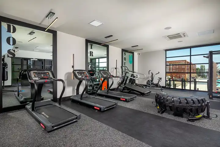 Mason - 2451 Mason Dr - San Diego, CA | Rent.
