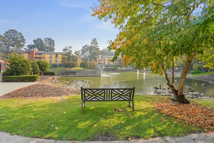 707 Continental Cir Mountain View Ca 94040
