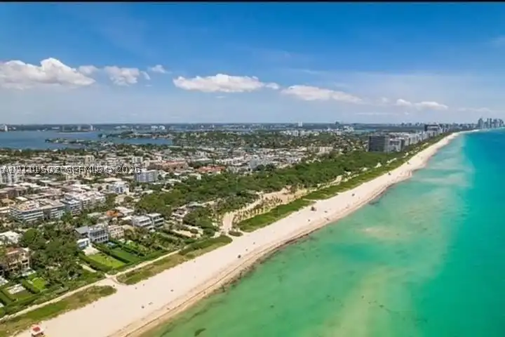 7800 Collins Ave #203 - Miami, FL | Rent.