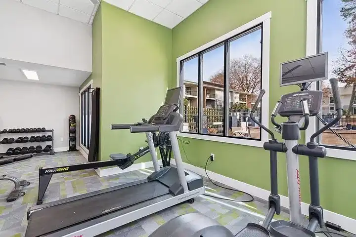 Tree Top - 1328 Steinbeck Dr - Raleigh, NC | Rent.