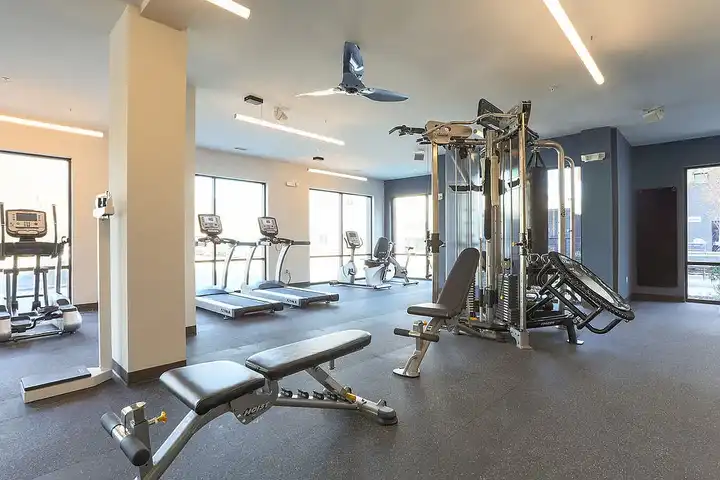 The Patton - 248 Patton Ave - Asheville, NC | Rent.