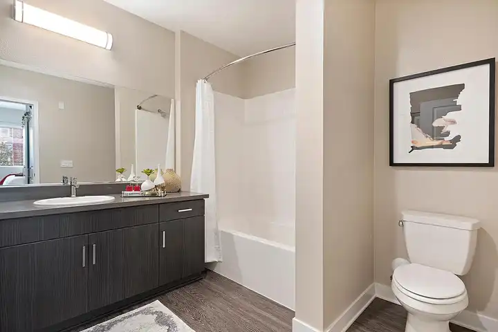 Calligraphy Urban Residences - 350 W Central Ave - Brea, CA | Rent.