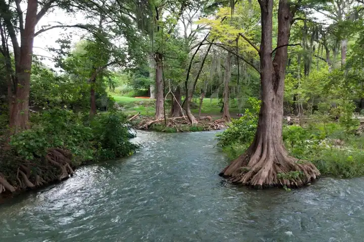 1329 River Place Dr - New Braunfels, TX | Rent.