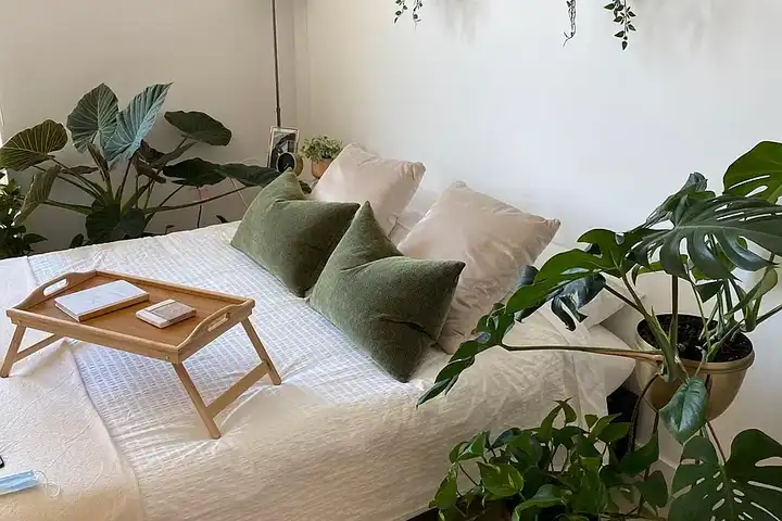 19J Midtown - 1827 J St - Sacramento, CA | Rent.