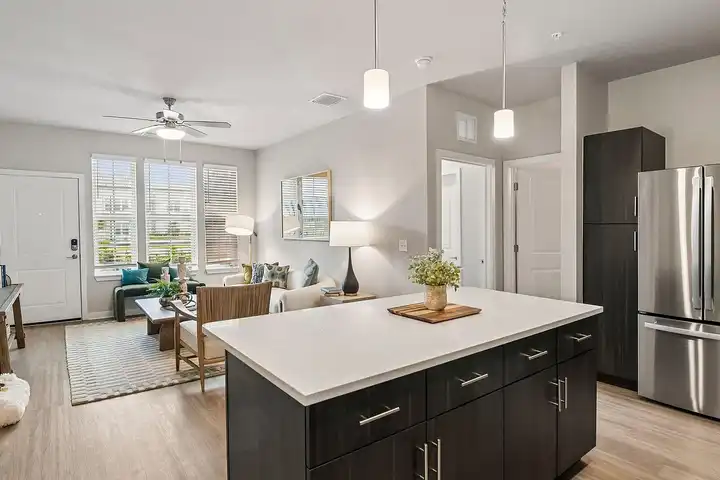Authentix Spring Hill - 286 Cherry Birch Ln - Brooksville, FL | Rent.
