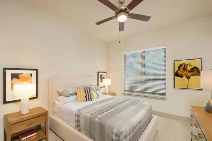 2680 Bissonnet St - Houston, TX | Rent.