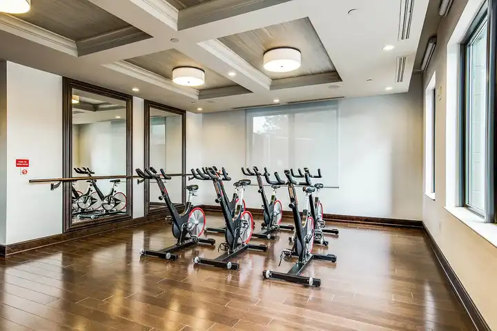 The Carter - 4 Chelsea Blvd - Houston, TX | Rent.