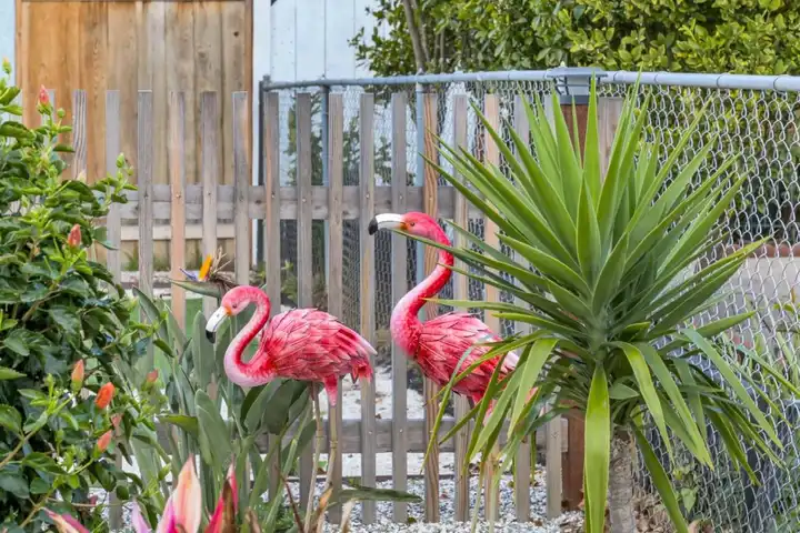 1246 Thermal Ave - San Diego, CA | Rent.