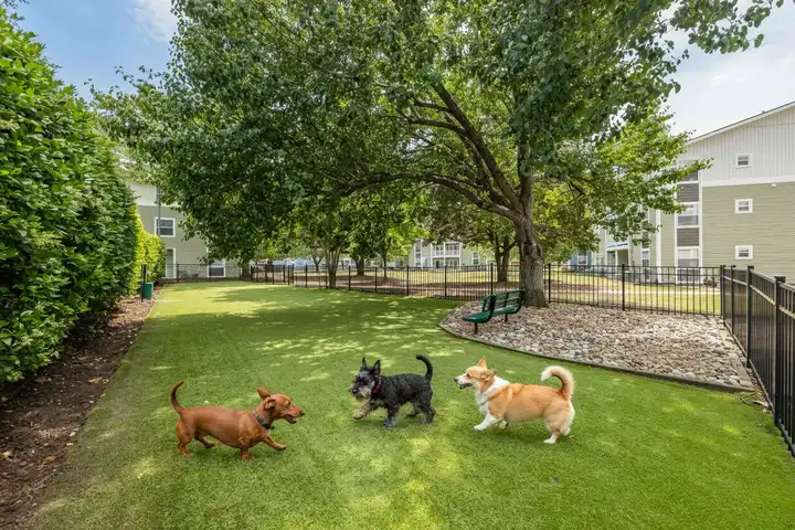 Village Green Apartment Homes - 820 N Macmillan Ave - Wilmington, NC ...