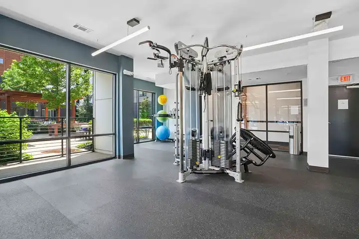 The Patton - 248 Patton Ave - Asheville, NC | Rent.