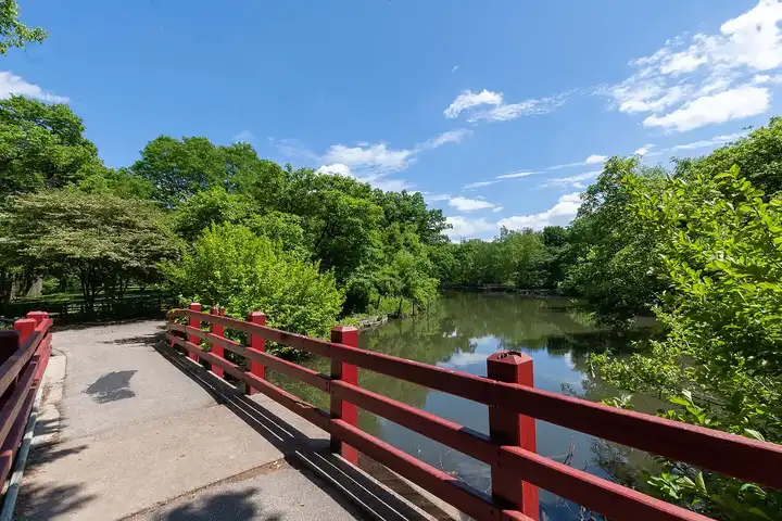 4815-23 N Springfield - 4815 N Springfield Ave - Chicago, IL | Rent.