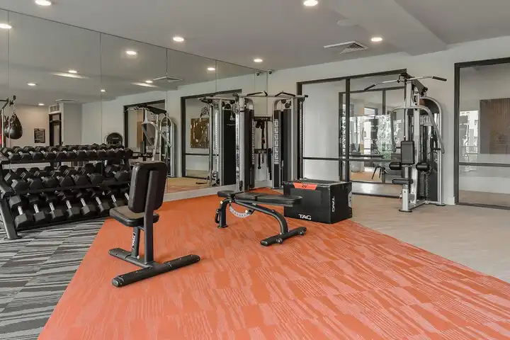 The View on Collins Apartments - 4540 Collins Rd - Lansing, MI | Rent.