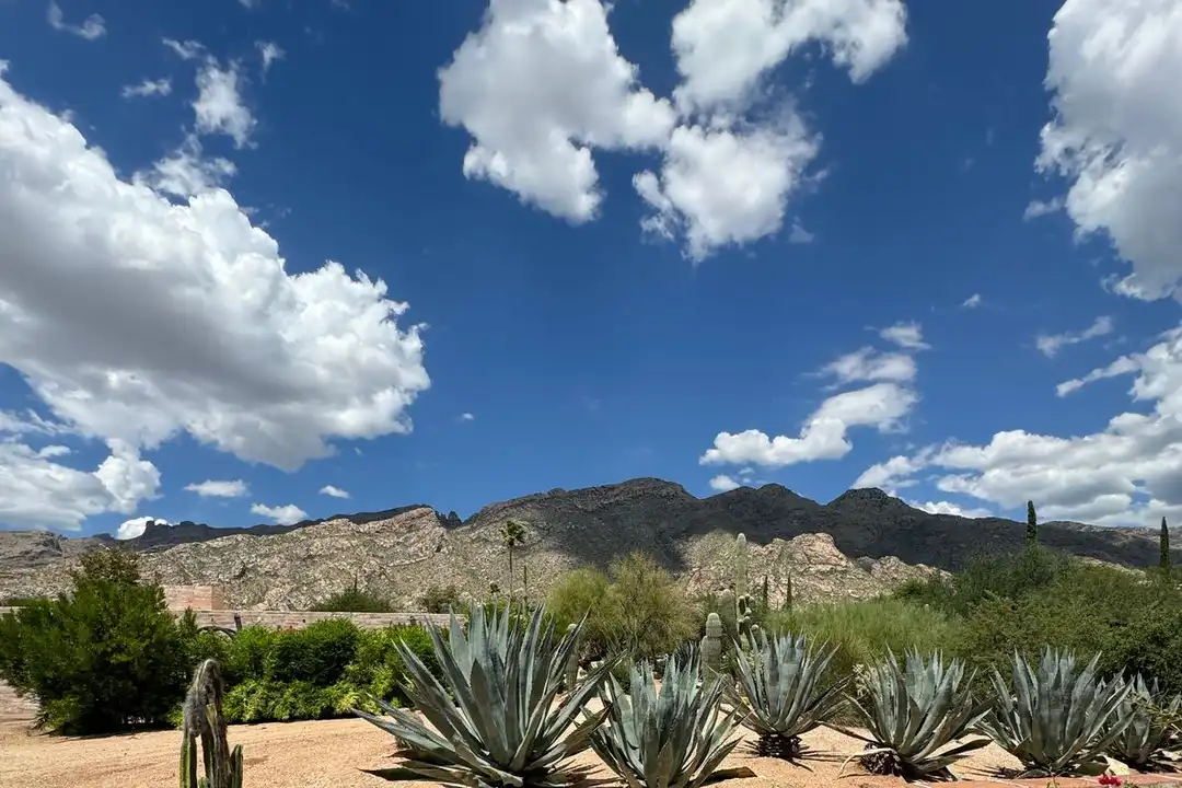 4715 E Apple Valley Pl - View 6