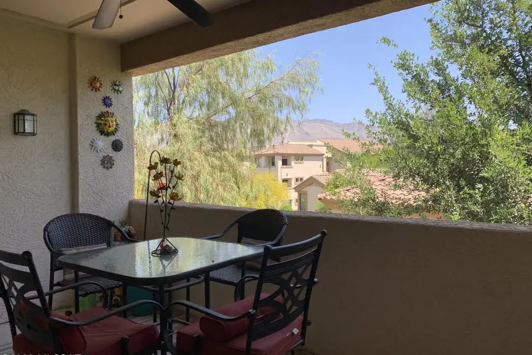 2550 E River Rd #16301 - View 5