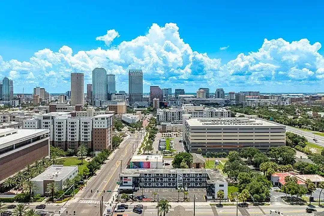 NuMi Living Tampa – photo 1
