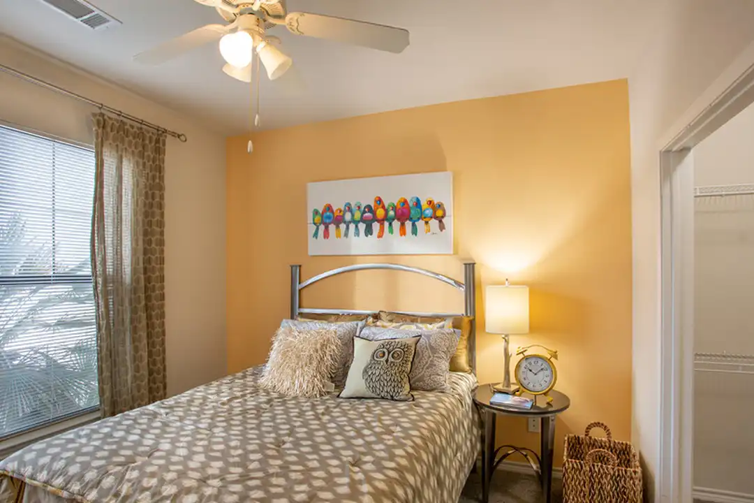 Apartment in Austin, High Pointe, Travis - More