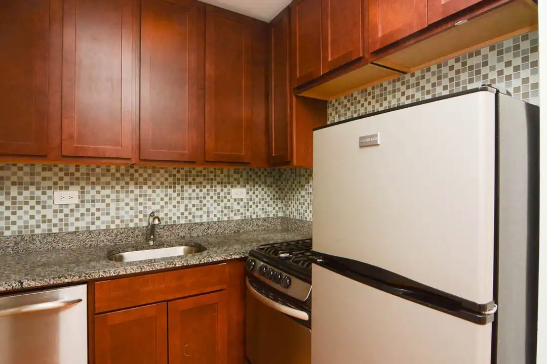 545 W Arlington Pl unit 705 - View 3