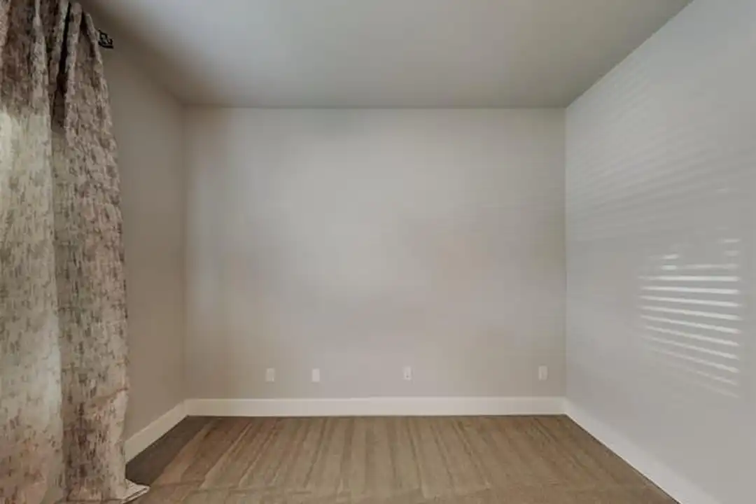 1318 Palm Springs Ln - More