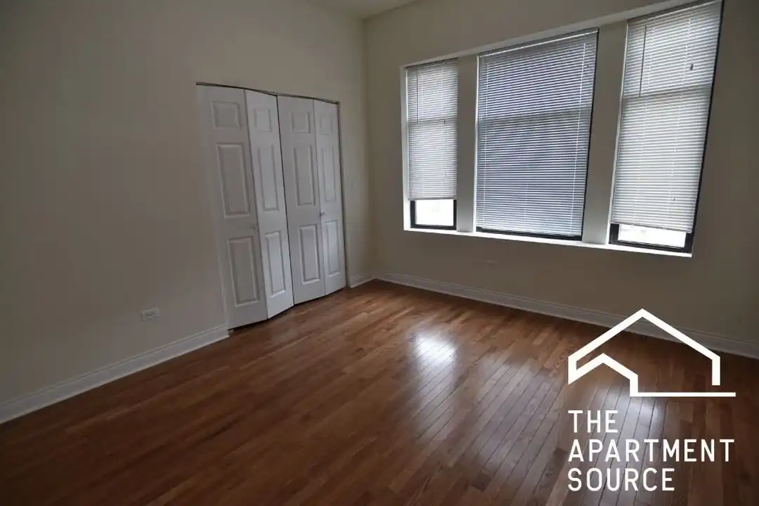 802 W Belmont Ave unit 3E - View 6