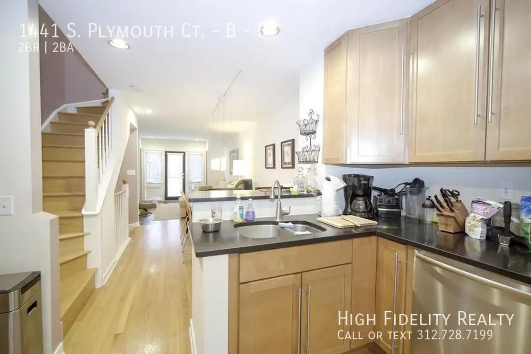 1441 S Plymouth Ct unit B - View 2