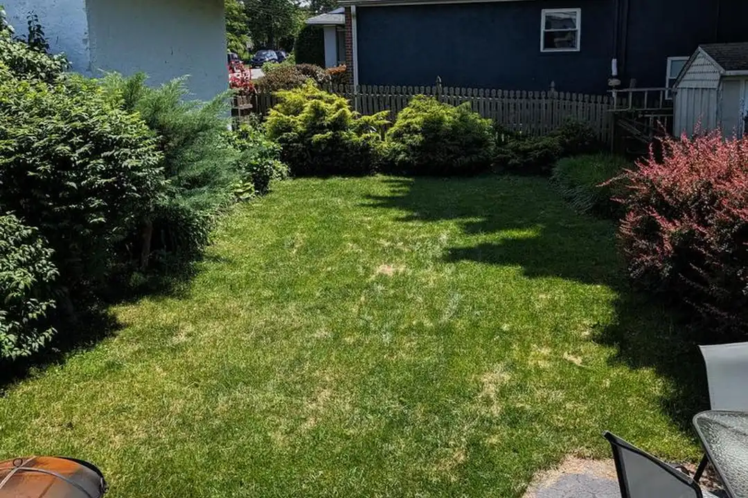 641 Loraine St - View 4