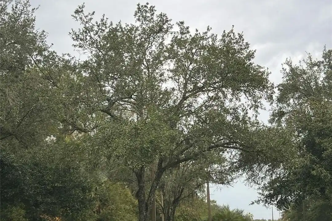 8674 Hunters Key Cir – pohled 2