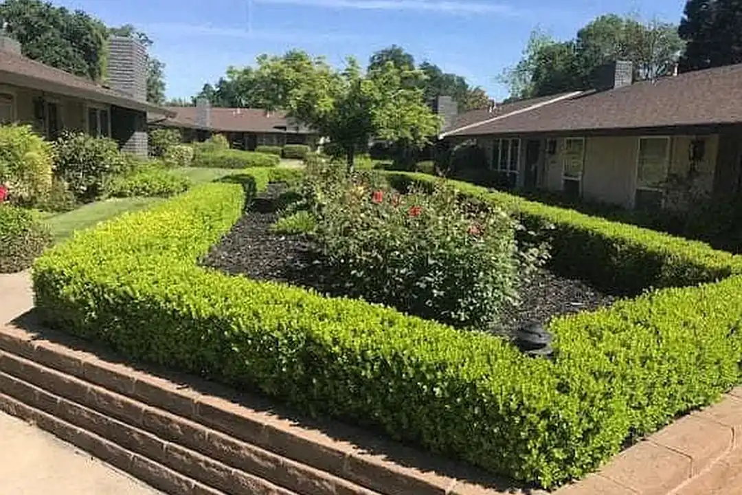 Apartment in Sacramento, Arden-Arcade - View 4