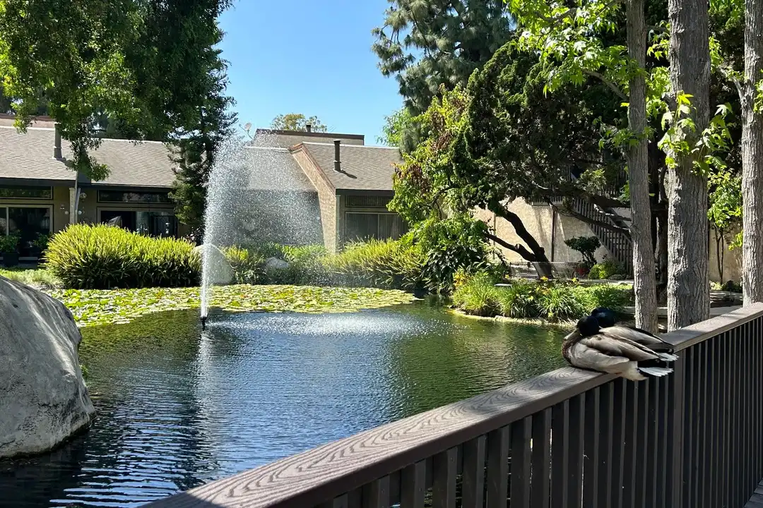 Apartment in Long Beach - View 2