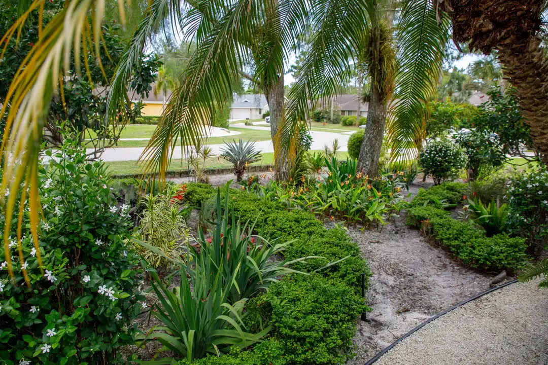 900 Cosmos Ct - View 5