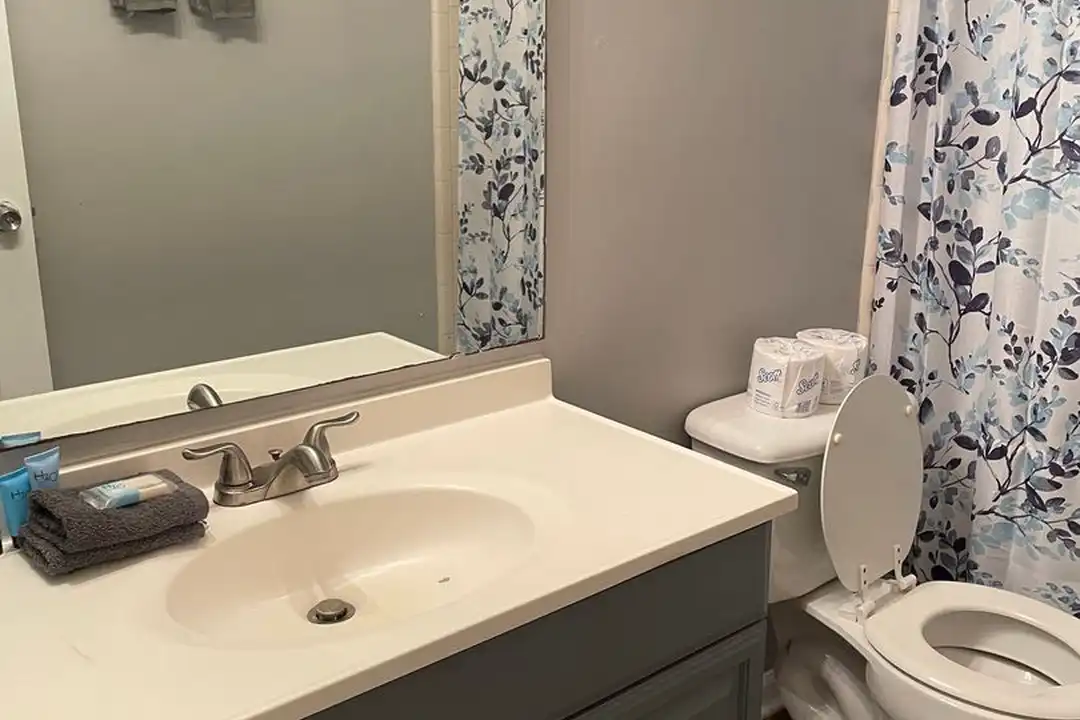 Apartment in Tallahassee - View 5