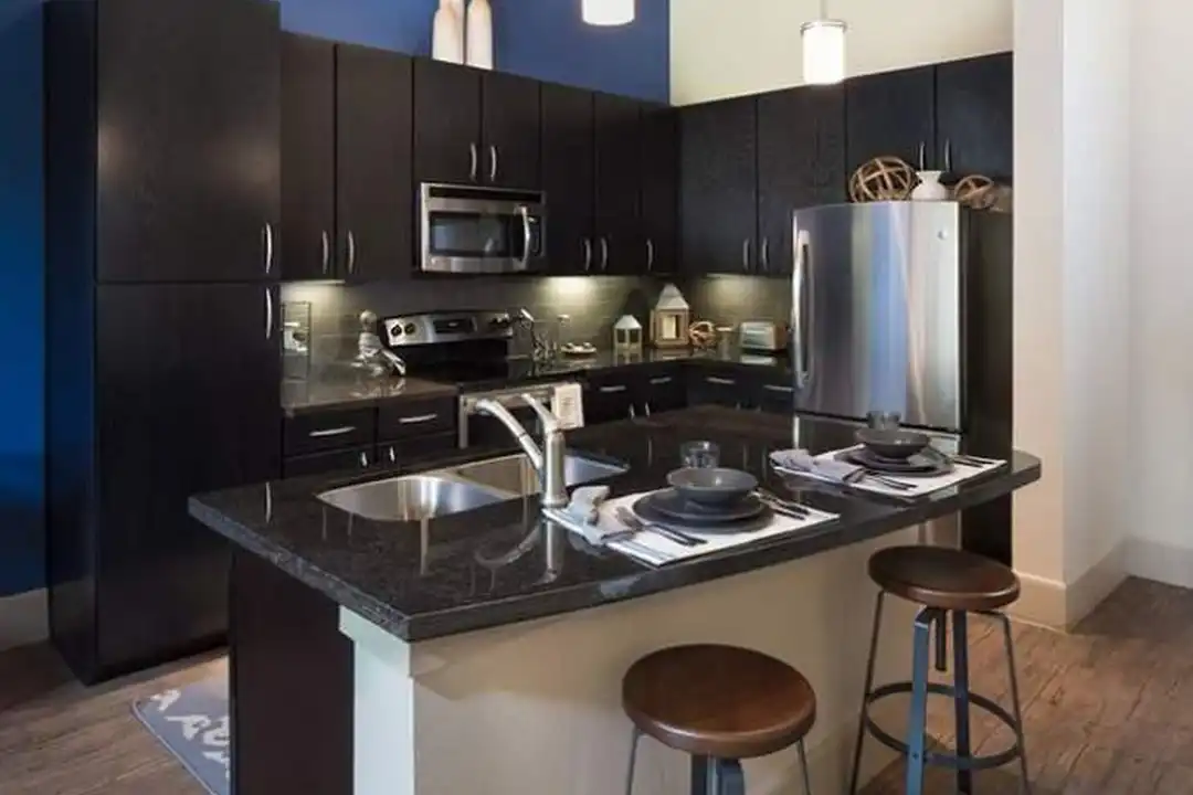 230 T C Jester Blvd unit # 1174 - View 4