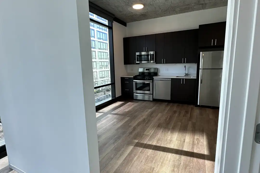 1430 S Michigan Ave unit 2-501 - View 3