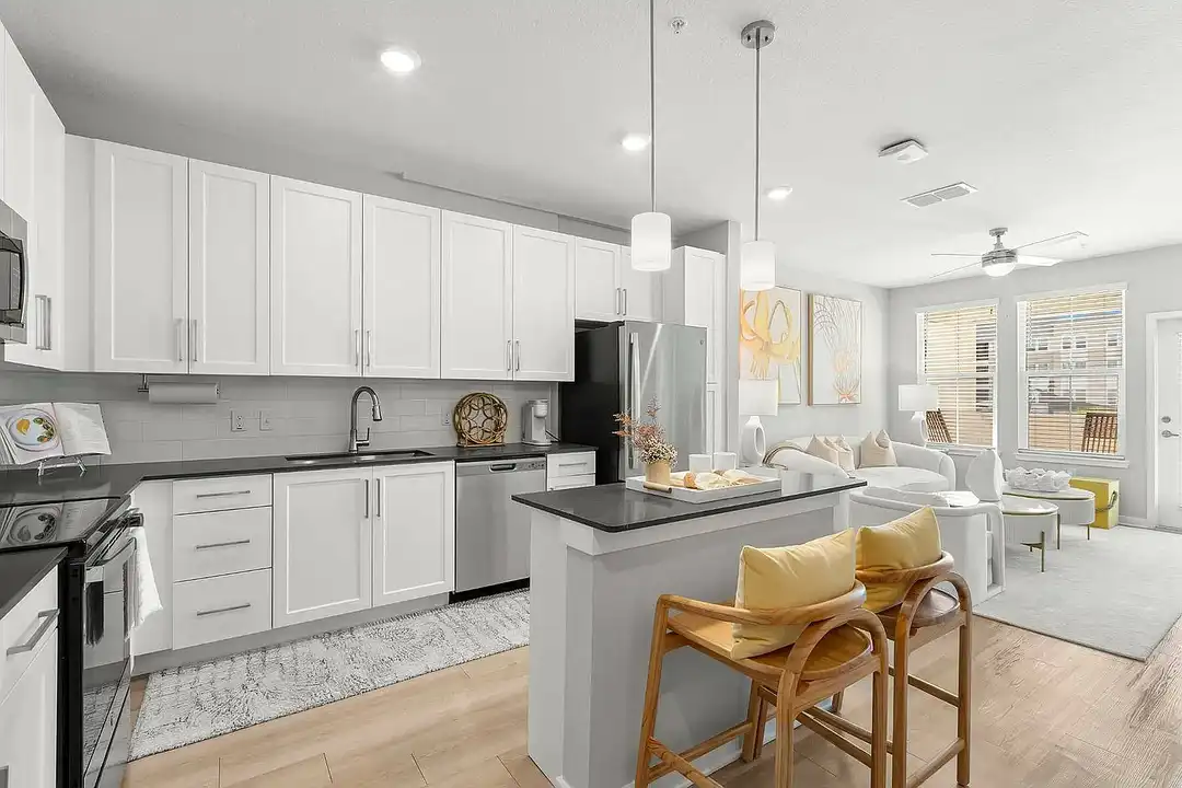 Apartment in Tampa - View 2