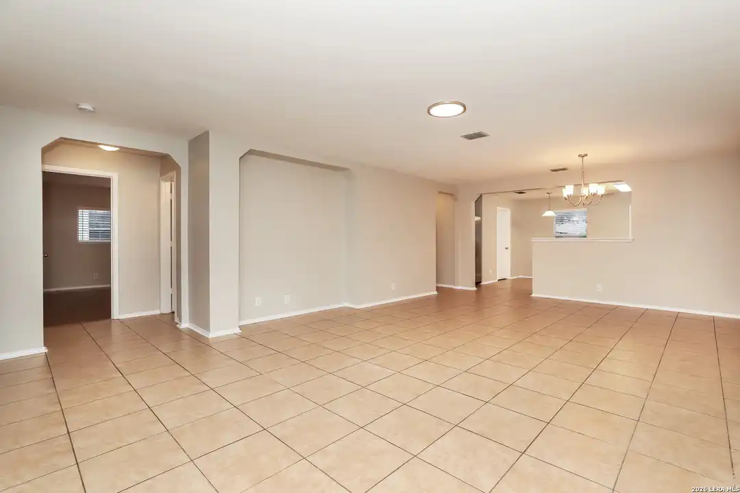172 Texas Mulberry - View 4