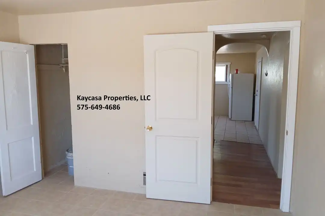 1121 N Mesquite St - More