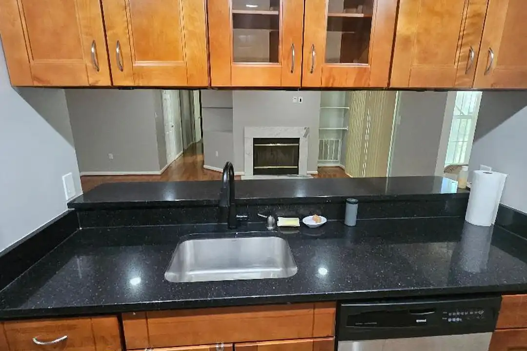 9811 Lake Point Ct unit 203 - View 6