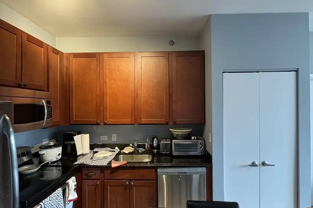 Apartment in Chicago - View 2