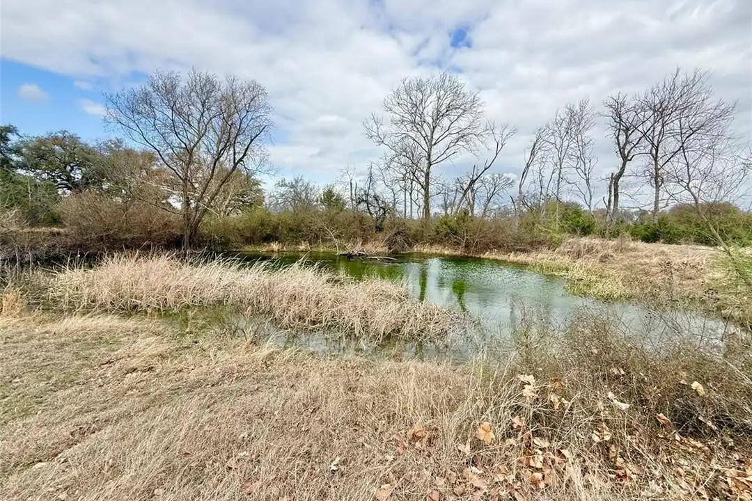 2501 Co Rd 228 - View 3