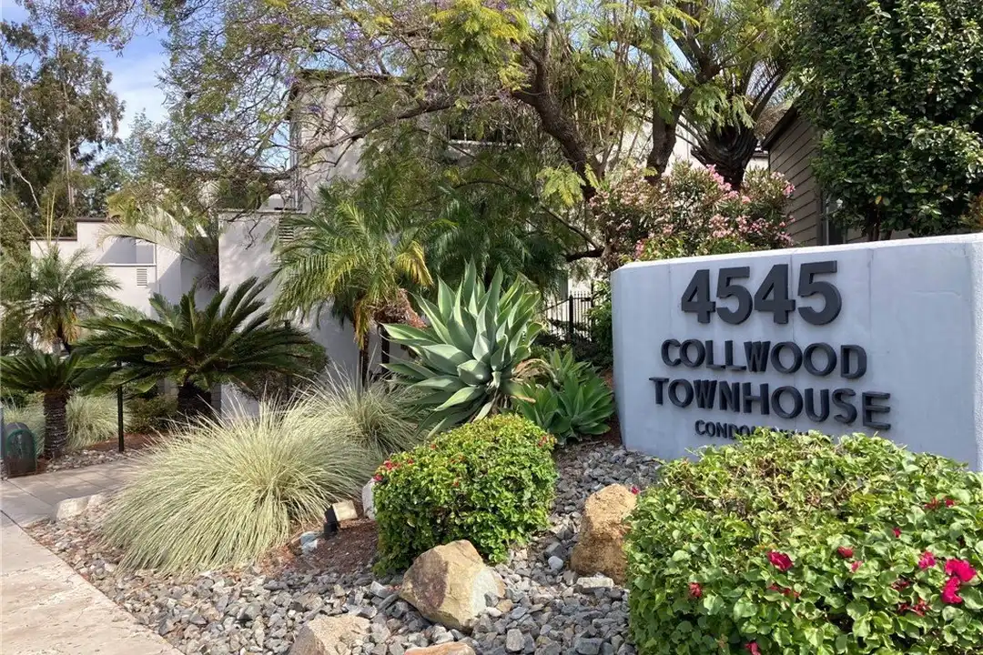 4545 Collwood Blvd #19 - View 2