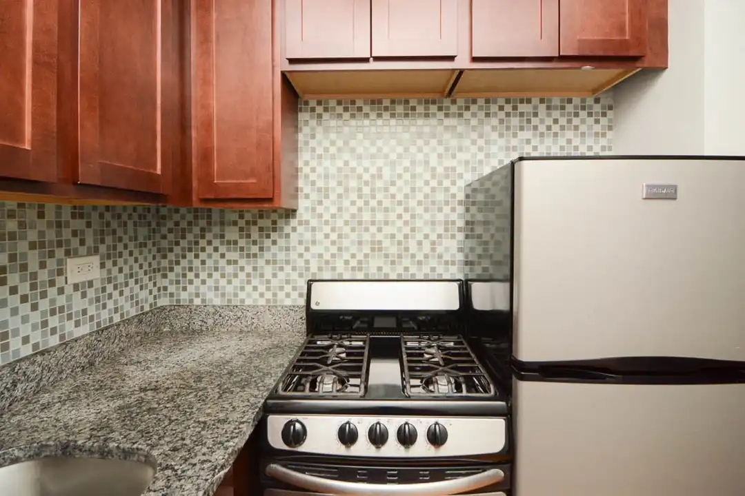 545 W Arlington Pl unit 705 - View 4