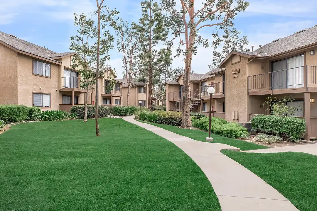 Mountain Springs Apartment Homes - View 5