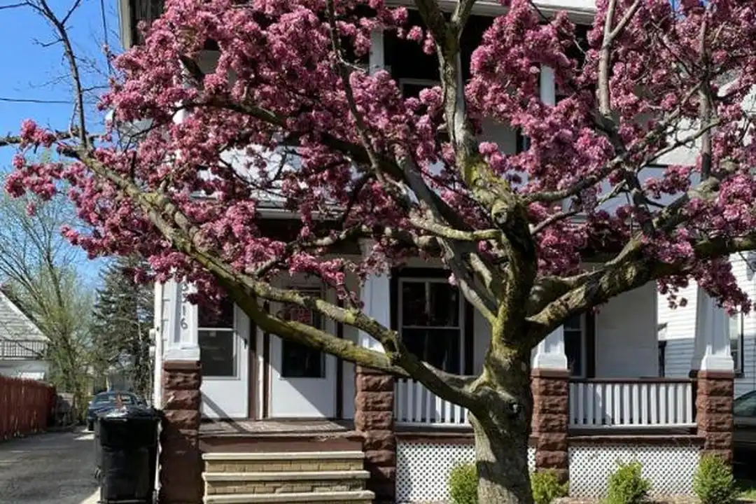 3316 Montclair Ave – photo 1