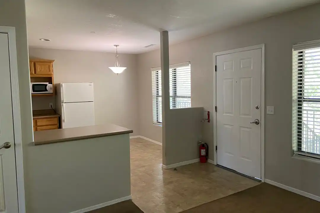 339 N Rush St unit Unit 206 - View 5