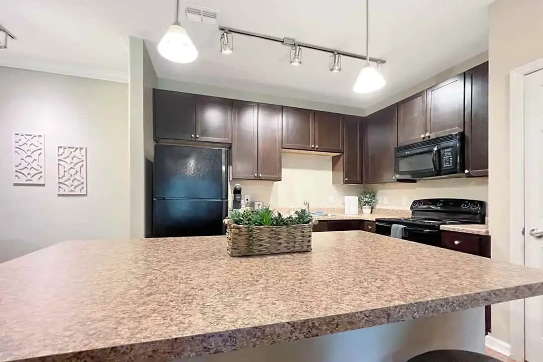 1770 Bearberry Cir unit 1508944P - More