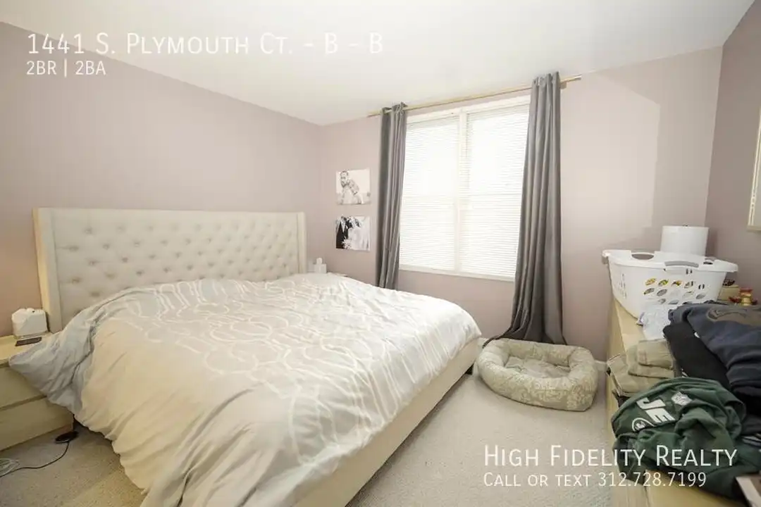 1441 S Plymouth Ct unit B - View 5